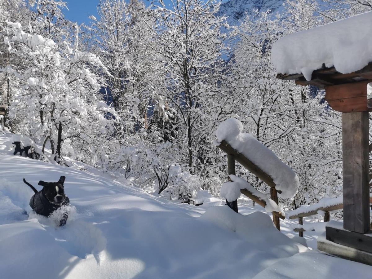 Готель Dolomiti House Cibiana Екстер'єр фото